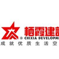 棲霞建設董事會決議公告 選舉江勁松為董事長、總裁及投資興辦實業
